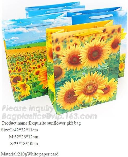 Foldable Gift Recycled Grocery Romotional Printed Gift Paper Bag Luxury Matte
