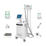 10.4 Inch Color Touch Screen Cryo-lipo Slimming Machine for Professional Fat