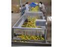 Wholesale Automatic Industrial Jam Making Machine , Vegetable / Fruit Jam Processing Machinery from china suppliers
