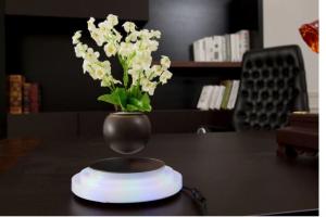 Wholesale led light magnetic levitation floating air bonsai flower pot tree plant from china suppliers
