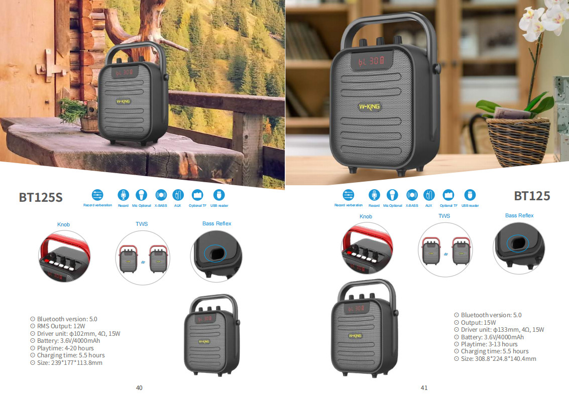 60W Waterproof IPX5 Bluetooth Wireless Speaker with TWS, DSP, TF Card, Equalizer & Subwoofer