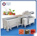 Cleaning Drying Dry Dates Vegetable And Fruit Washing Machine