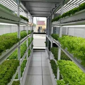 Wholesale Hydroponic System Container Farm Suitable for Growing Vegetables Fruits and Flowers from china suppliers