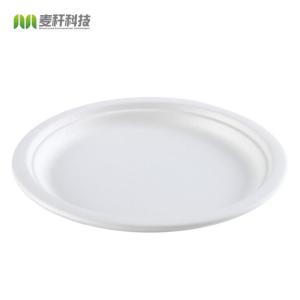 Wholesale Eco-friendly Biodegradable Baggasse RoundCake Disposable Steak Round Dessert Plate from china suppliers