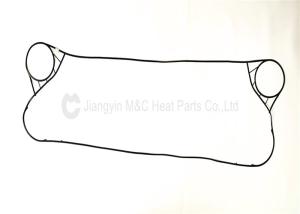 Wholesale Sealing Strip Gaskets Large Fluids Exposed Space Area High Flexibility Sigma96 from china suppliers
