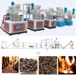 1-10TPH Wood Pellet Production Line Eucalyptus Pine Birch Pellet Production Line