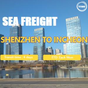 Wholesale 20GP 40GP 40HQ International Sea Freight Service Shenzhen To Incheon South Korea from china suppliers