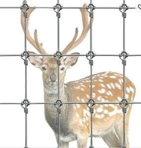 Wholesale Rot Proof Fixed Knot Steel Farm Field Fence for Safe and Secure Animal Containment from china suppliers