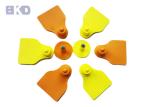 PP Plastic Eartag Prototype Injection Molding For Animal Management