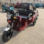 Folding Adult 3 Wheel 1.4m*1.0m Electric Cargo Tricycle