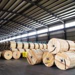Insulated 15/25/35kv Medium Voltage Aerial Cable for Overhead Electric Wire