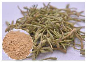 China treat cold, fever and infection Chlorogenic acid 5%, 25% Lonicera japonica Extract Honeysuckle flower powder on sale