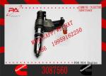 Factory OEM quality Brand New Diesel Common Rail Fuel Injector Assembly 4307516