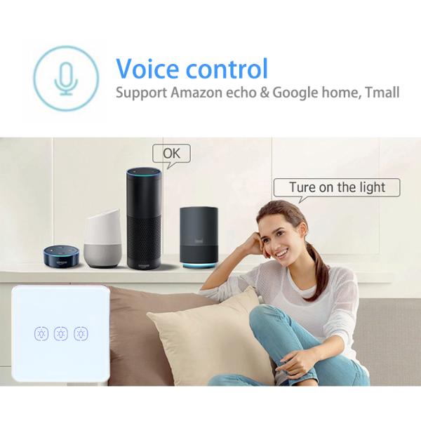 WiFi 240V 2 Gang Tuya Smart Switch With Google Alexa Voice Control