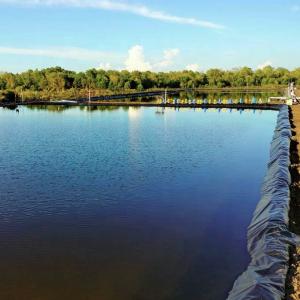 Wholesale Environmentally-friendly HDPE geomembrane plastic liner for fish farm pond liner from china suppliers