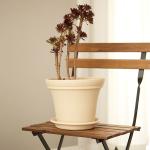 15CM 6 Inch Intensification Plastic PP Resin Plant Pots Saucers