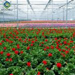 Structural Frame Polycarbonate Glass Greenhouse For Flower Growth