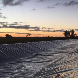 Wholesale Double Smooth Surface Black HDPE Geomembrane for Fish Shrimp Farming Pond Dam Liner from china suppliers