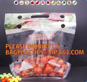 China cherry tomato bags / laminated dry fruit packaging bag, Fruit Vegetable Packaging Bag, fruit protection bag with vent ho on sale