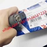 Steel Made 0445110189 6110701687 A611070168706 Diesel Engine Common Rail