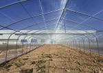 Economical Easy Installation Polycarbonate Greenhouse Kits Heavy Duty Poly