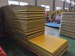 Martial Arts Tatami EVA Gym Foam Mat Odor Free 20mm 40mm