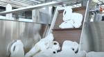 Robotic Bottle Unscrambler Machine Quick Bottle Size Switch 80-1000ml 10000BPH