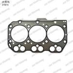 Full Gasket Kit Iron 3TN74