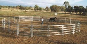 Wholesale 15m Diameter Round Corral Panels 22Pcs incl. 3m tall Gate &quot;. Victoria &quot; from china suppliers