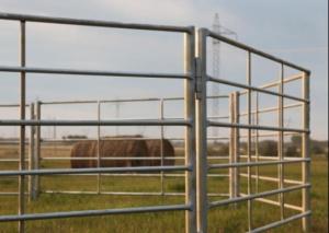 Wholesale 6 rails Galvanized 6ft Livestock Fence Panels from china suppliers