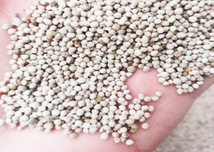 Wholesale High Purity Small Bird Food White Perilla Seed Wild Sesame For Birds Feed from china suppliers
