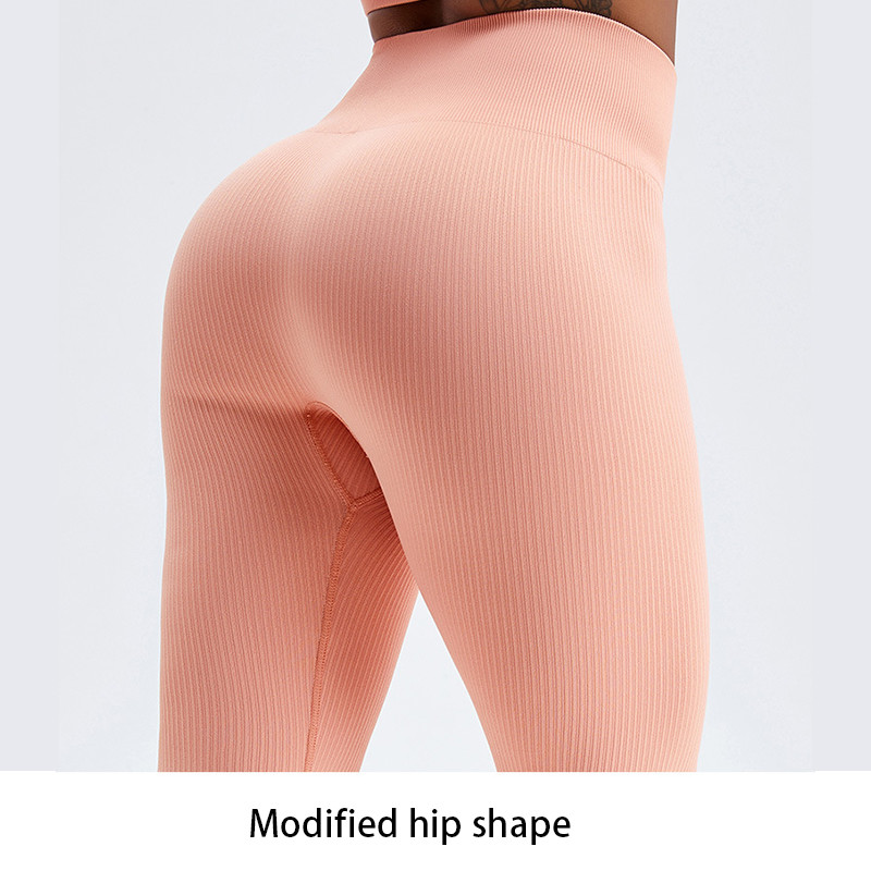 Seamless High Waisted Compression Yoga Pants Butt Lifting Women's Workout Tights