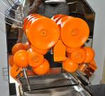 Approved Fresh Juicing Machine Automatic Orange Juicer Machine - Commercial