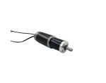 Seed Drive brushed DC motor