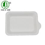 9in Customized Logo Biodegradable Bagasse Plates For Happy Birthday Cake