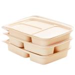 Biodegradable Eco Friendly Takeaway Boxes Waterproof And Oil Resistant