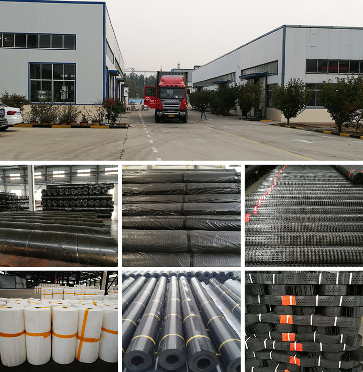 Affordable Plant Protection 3D Geomat EM2-EM5 for Turf Reinforcement Slope Protection