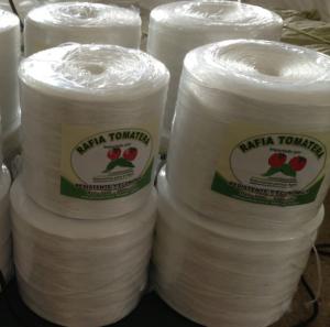 Wholesale UV Resistant Tomato Twine for Agro Vegetable Fruit Horticulture Greenhouse from china suppliers