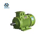 YE4 IE4 Electric Motors 1000rpm 1500rpm 3000rpm Three Phase AC Induction Motors