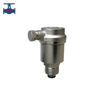Wholesale NPT BSP Female Threaded Stainless Steel Auto Exhaust Valve / Micro Air Exhaust Valve from china suppliers