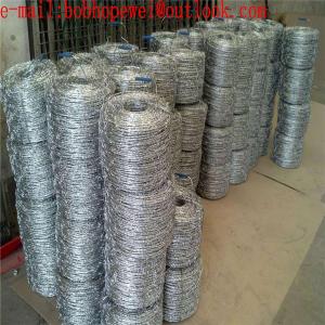 Galvanized Barbed Wire for Airport Prison Security Fence /Barbed Wire/Barbed Wire Price Per Roll/Barbed Wire for Fence