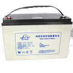 12V 100AH Leoch DJM12100 Maintenance Free Lead Acid Battery for UPS