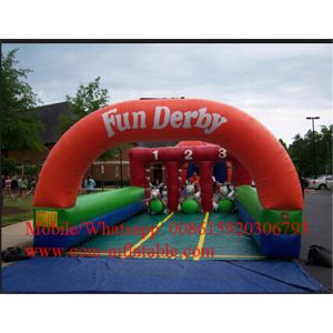 Wholesale Inflatable Horses Raleigh from china suppliers