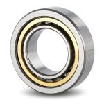NU 2338 ECML;NJ 2338 ECML Cylindrical Roller Bearings Use For Hoist Single