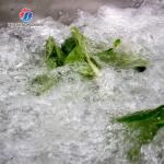 150KG Commercial fruit and vegetable washing machine large bubble washing