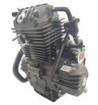 250CC DAYANG Motorcycle Engine Single Cylinder 4 Stroke Wolf Water-Cooled Cold