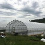 Reasonable Cost Plastic Film Greenhouse 0.12mm-0.2mm Thickness