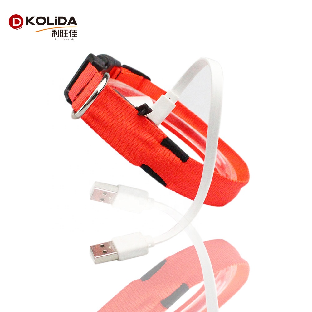 C906 New Pet Product Custom Led Luminous Usb Rechargeable Dog Collar Led