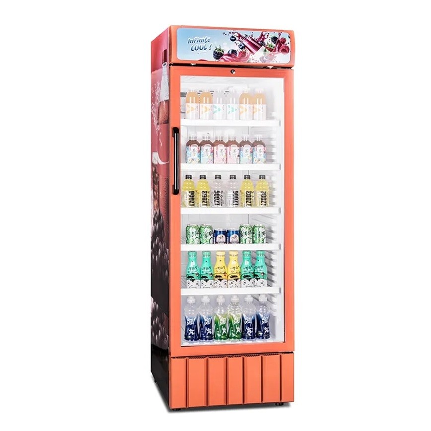 Glass Single Door Swing Upright Showcase Cooler 370L Commercial Refrigerator