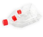 100% PP Cell Culture Flask For Cytology Laboratory Culture Products